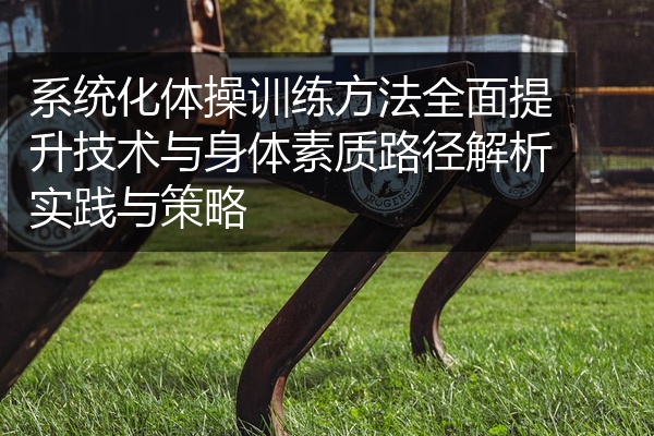 系统化体操训练方法全面提升技术与身体素质路径解析实践与策略