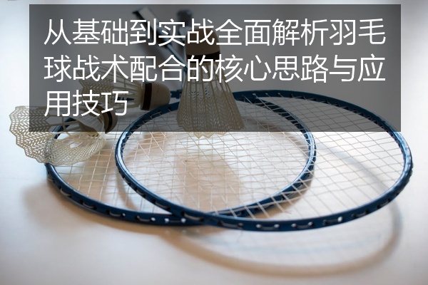 从基础到实战全面解析羽毛球战术配合的核心思路与应用技巧