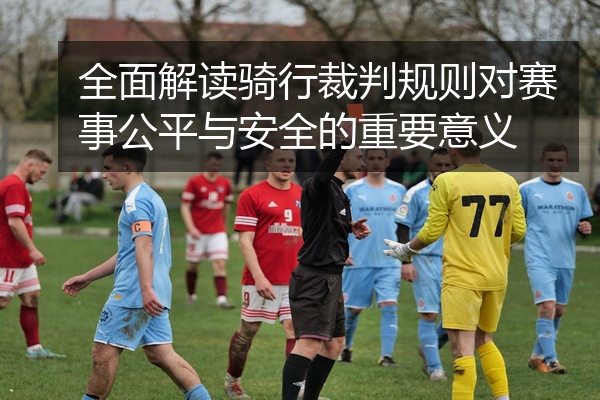 全面解读骑行裁判规则对赛事公平与安全的重要意义