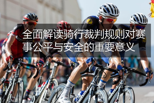 全面解读骑行裁判规则对赛事公平与安全的重要意义