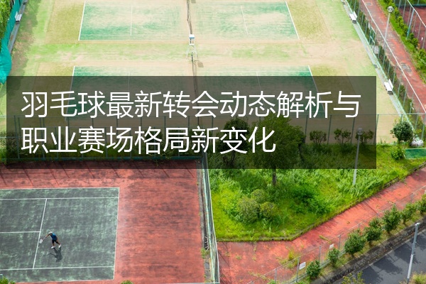 羽毛球最新转会动态解析与职业赛场格局新变化